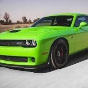 Meet your Posher, Brady